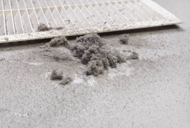 Best Air Vent Cleaning Services  in De Leon Springs, FL